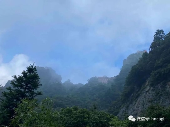 武当山团建